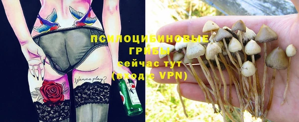 мяу мяу мука Краснослободск