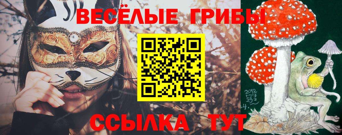 закладки  Галлюциногенные грибы ЛСД  Вход с VPN  Жуковский 