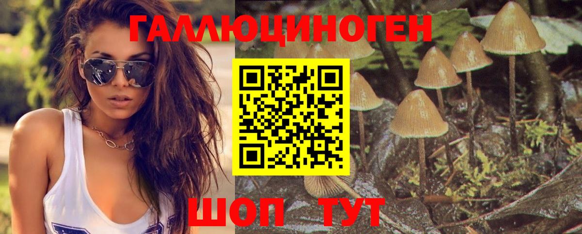 Псилоцибиновые грибы Magic Shrooms Жуковский