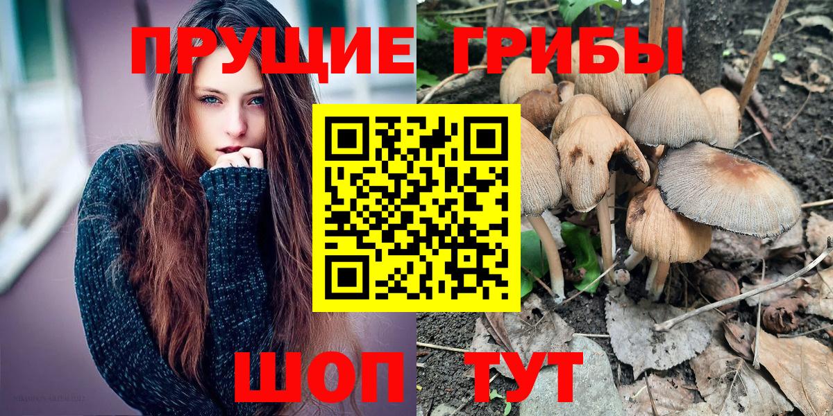 Псилоцибиновые грибы MAGIC MUSHROOMS  Жуковский 